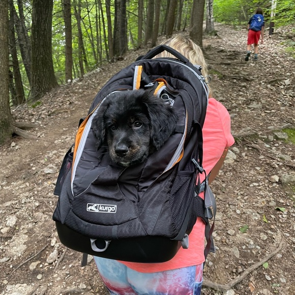 Kurgo G train dog backpack - Picture 5 of 5